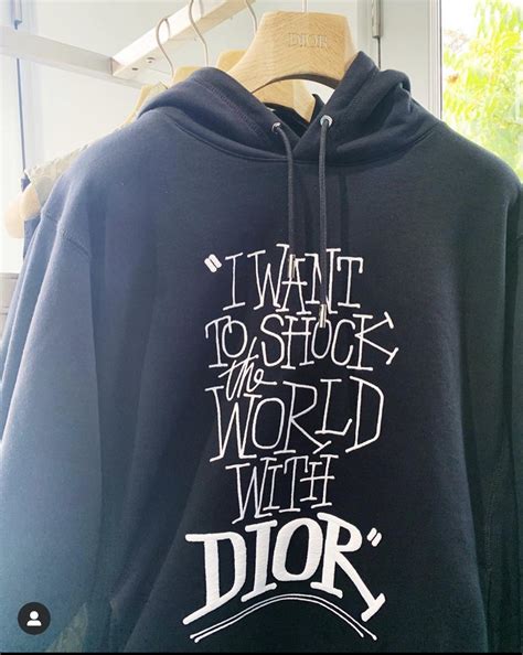 i want to shock the world with dior hoodie price